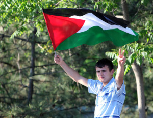 palestine-amended-draft