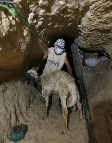 Les tunnels, source de renouveau économique pour la Bande de Gaza